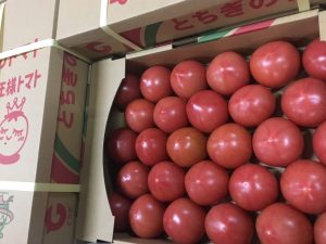 tomato 18-4-19
