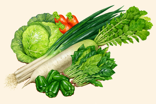 野菜