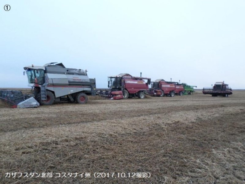 カザフスタン　春小麦収穫