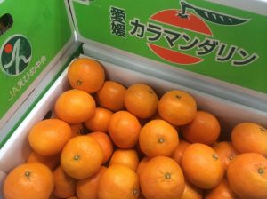 K 18-5-1 karamandarin