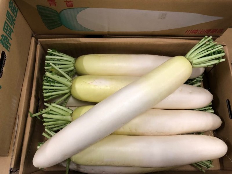 静岡県榛南（ハイナン）地区産のだいこん