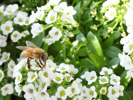 A-19-2-21-652-768x576