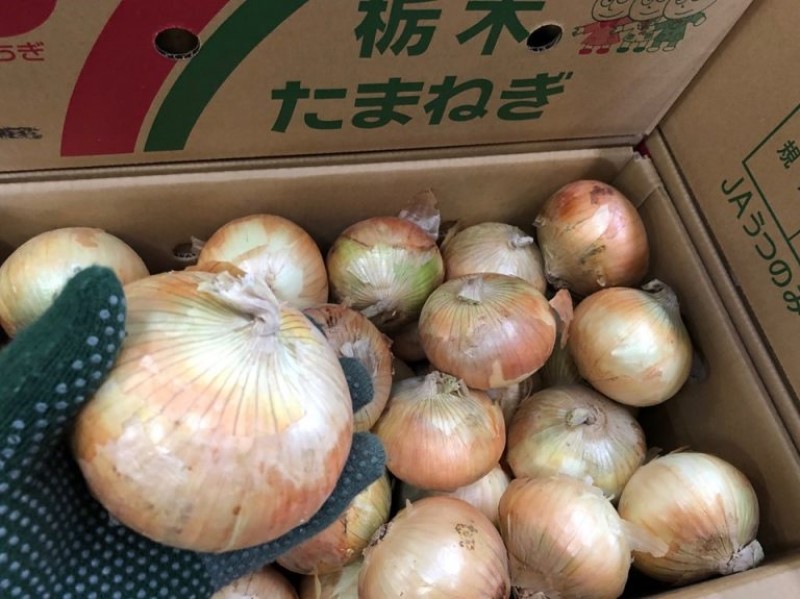 ５月の販売統計