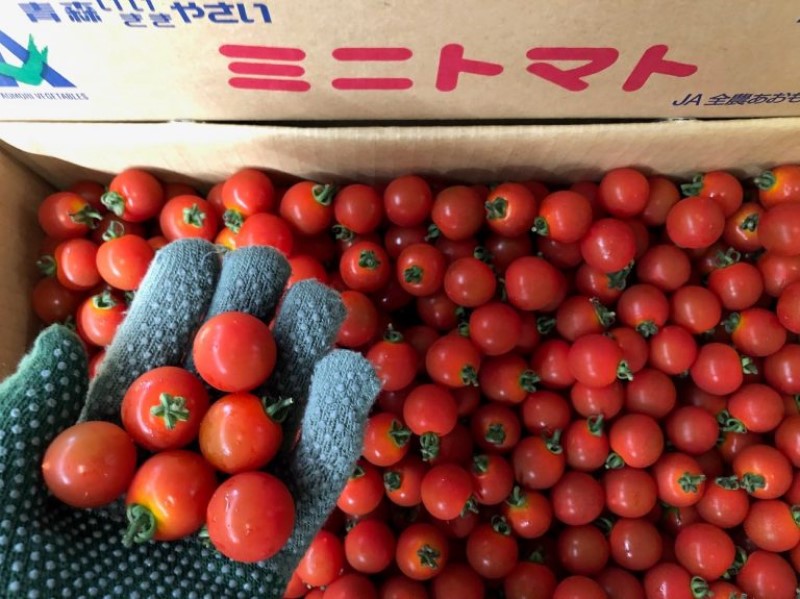 ミニトマト
