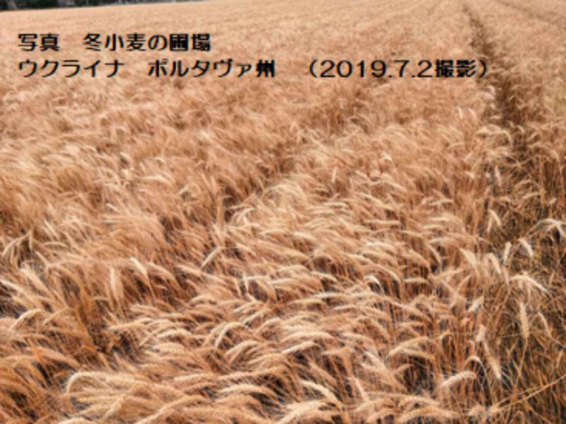 芒（のぎ）