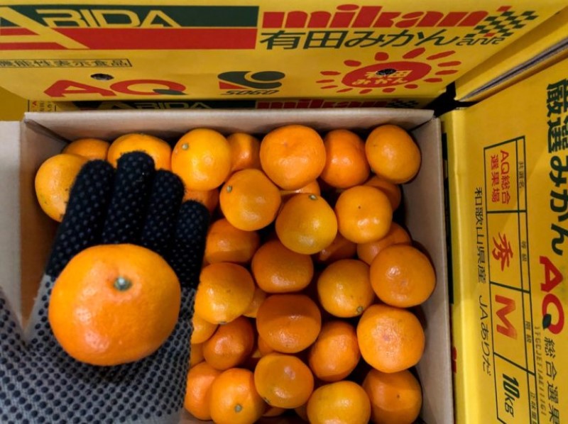 有田みかん