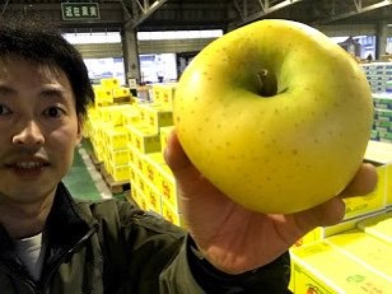 江刺りんご・シナノゴールド