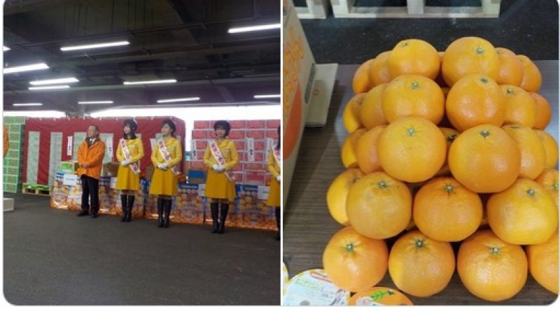 ”いよかん”のトップセールス