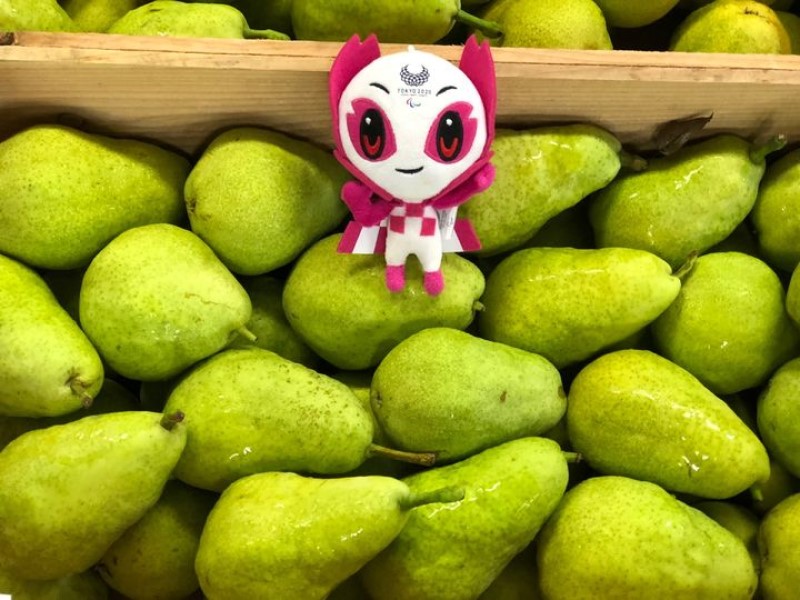 先月の販売統計