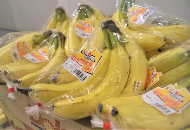 カーリングバナナ