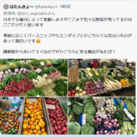 鎌倉の野菜直売所