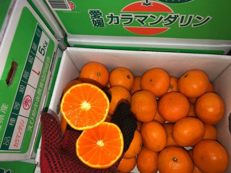 カラマンダリン