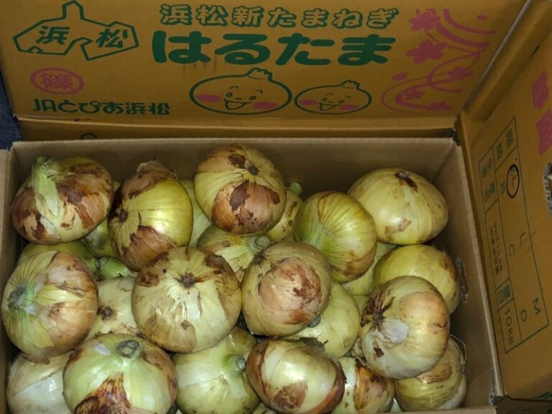 新タマネギ