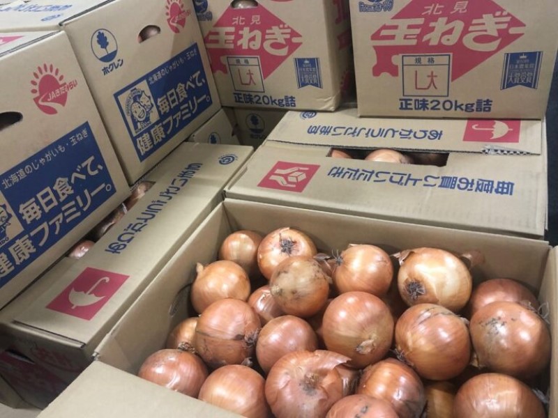 １１月の販売統計