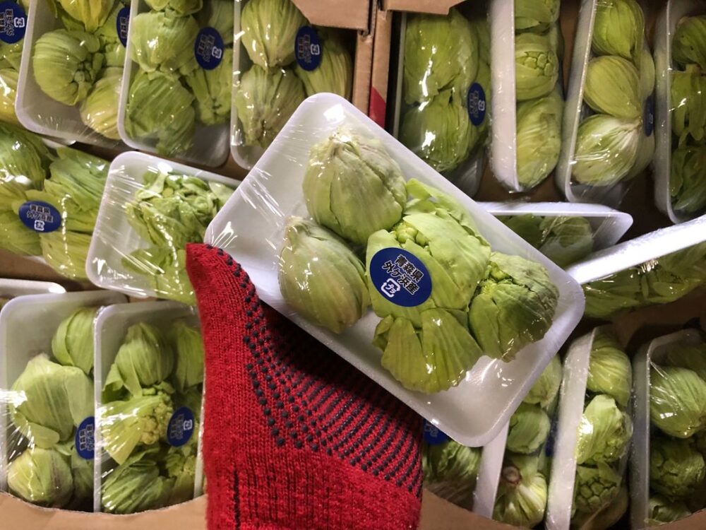 山菜ふきのとう