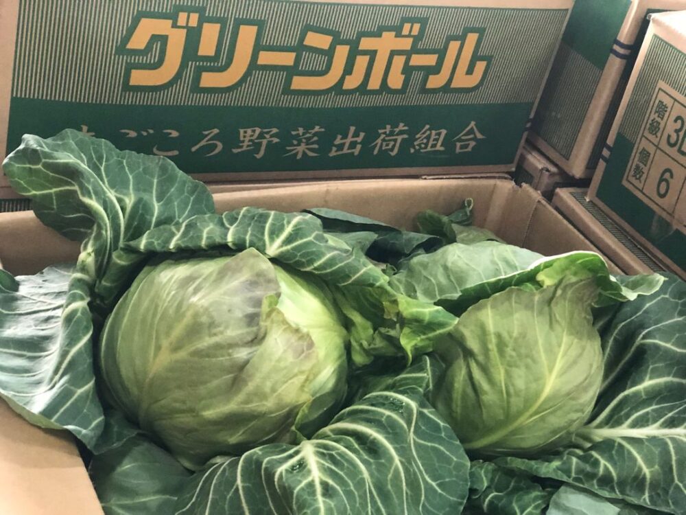 グリーンボール