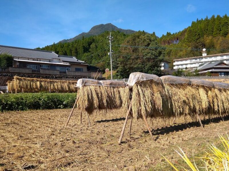 有事に農家は強い