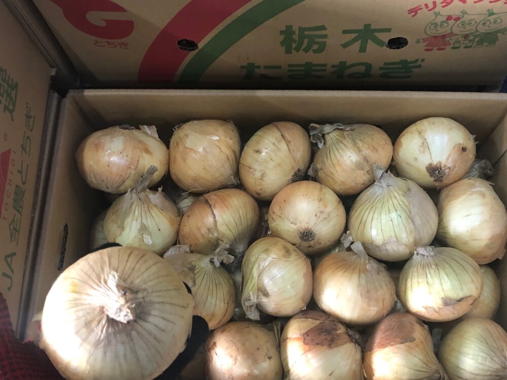 栃木県産玉ねぎ