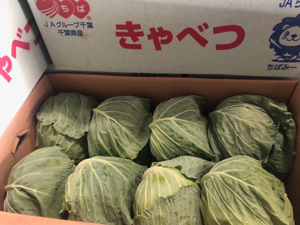 キャベツの相場