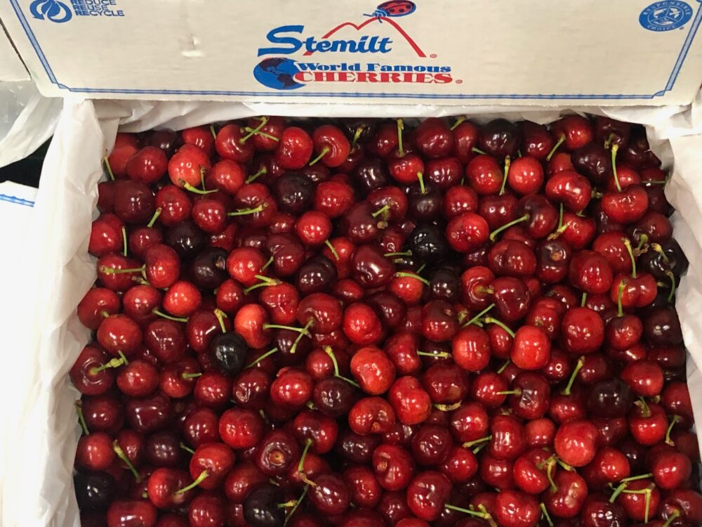 アメリカンチェリー。
