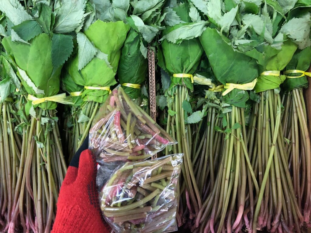 万能山菜のミズ