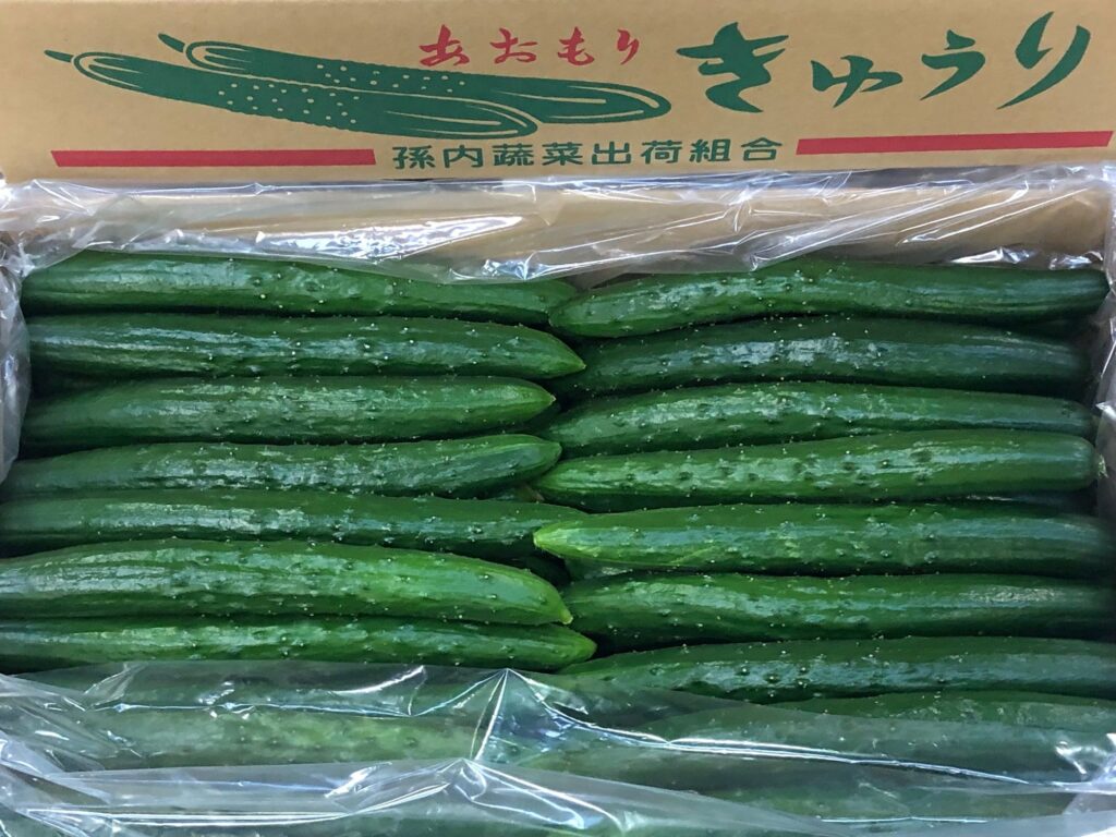 青森市産のきゅうり