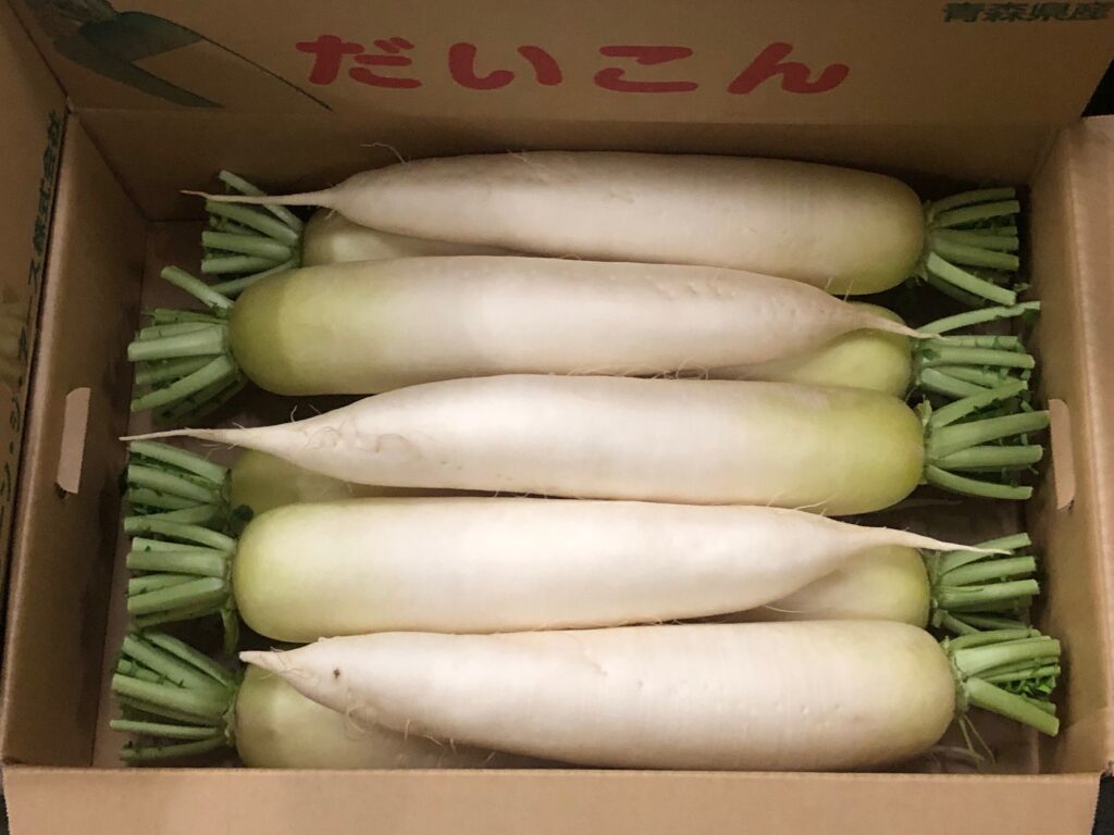 パスライト（べたがけ）