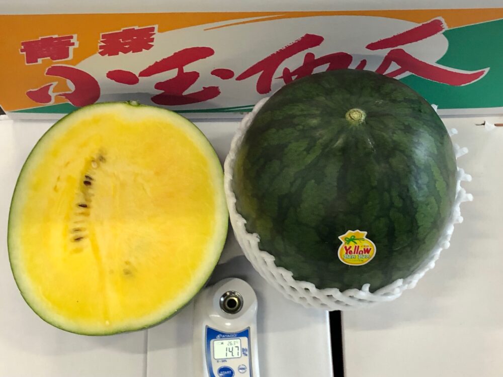 黒皮の黄小玉西瓜「イエローBon Bon」