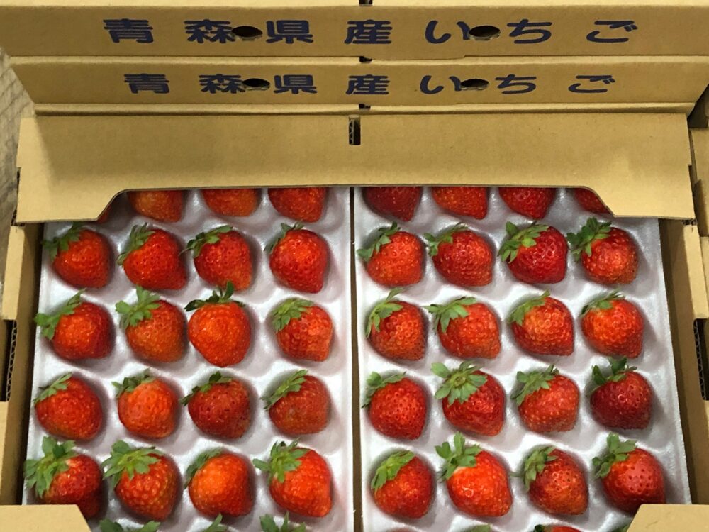 四季成りいちご