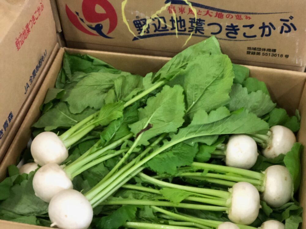 野辺地葉つきこかぶ