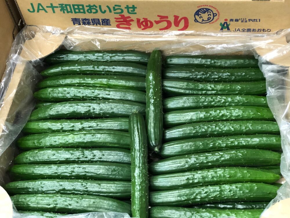 
夏野菜の代表と言えばきゅうり