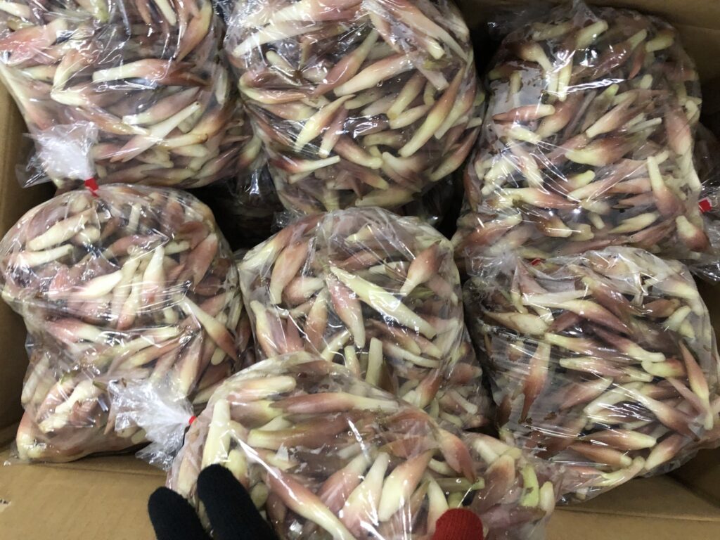 青森県産の夏みょうが