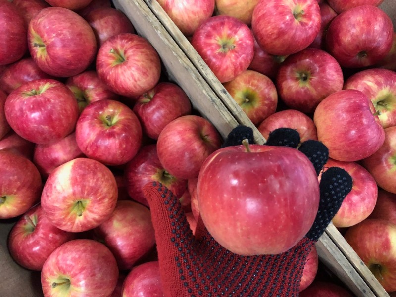 未希（みき）ライフ