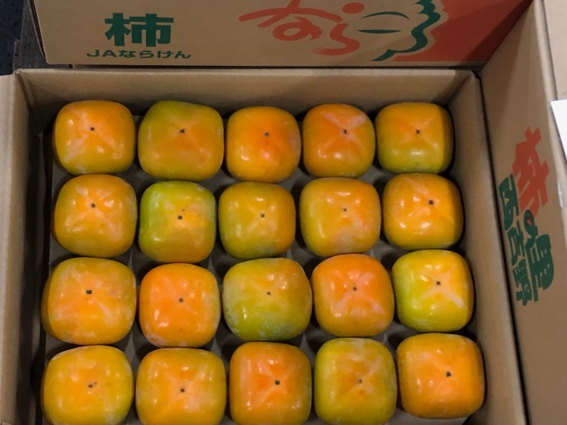 露地のたねなし柿