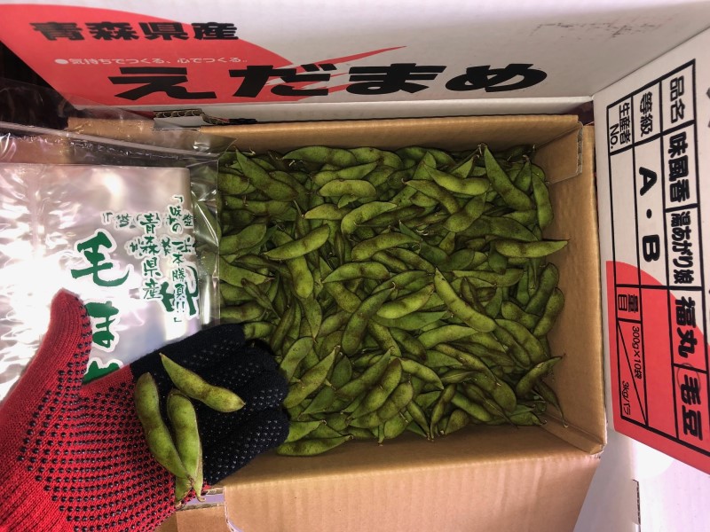 本毛豆（ほんけまめ）