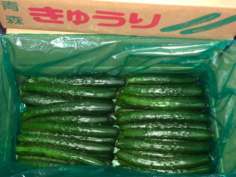 青森市産きゅうり