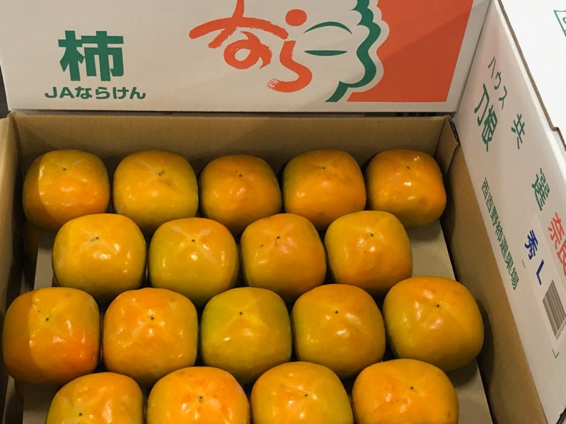 ハウス栽培のたねなし柿