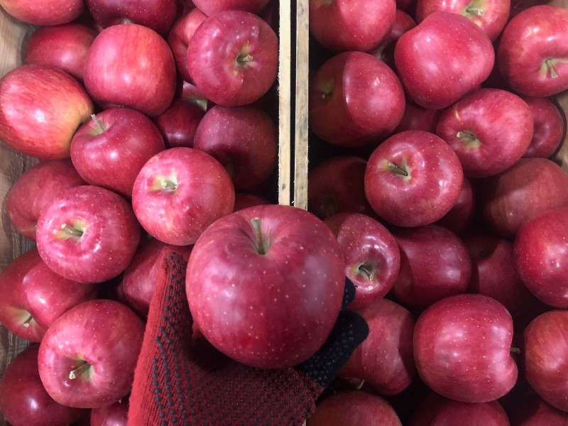 シナノスイート