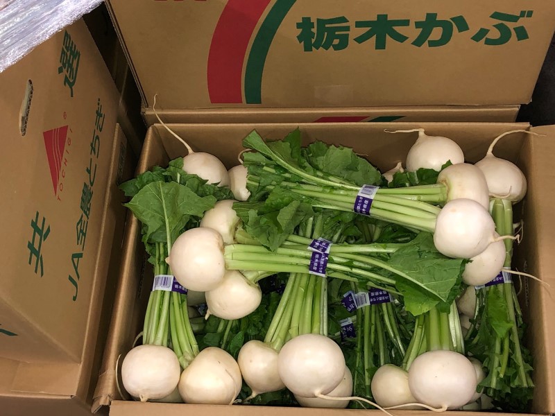 国分寺のこかぶ