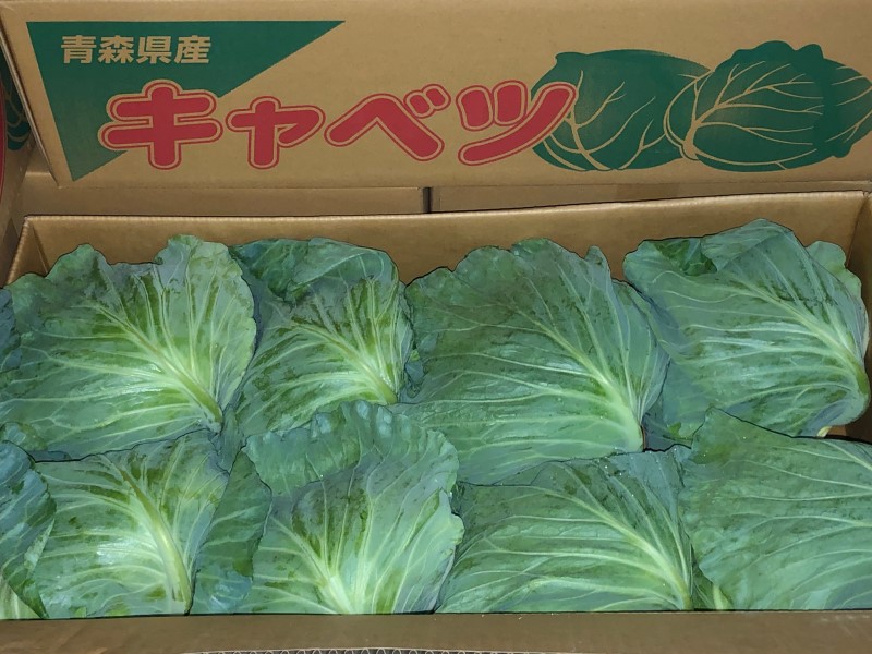 安値が続くキャベツ