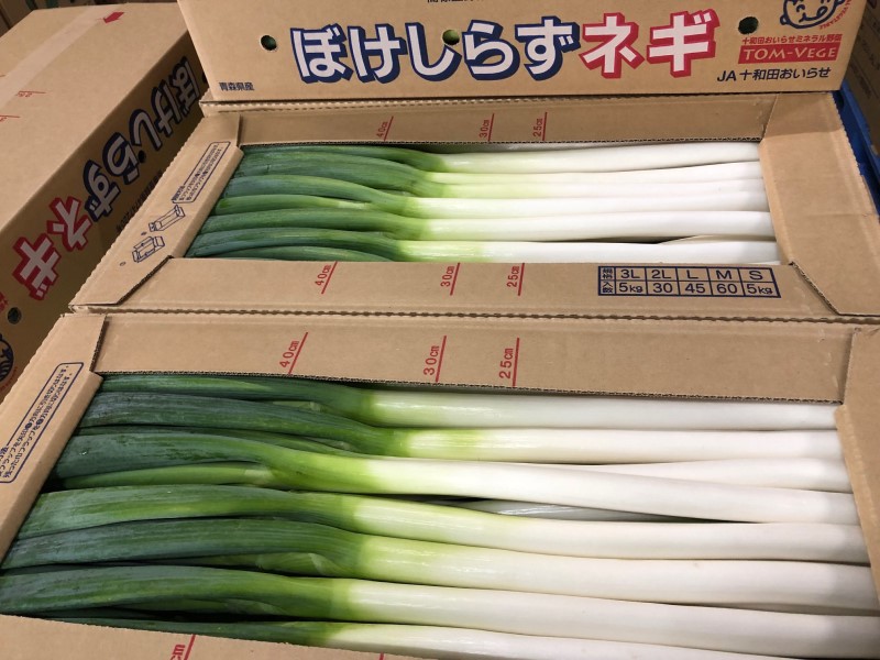 ブランド野菜JA十和田おいらせの「ぼけしらずネギ」