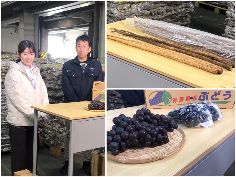 ＮＨＫ情報番組の収録