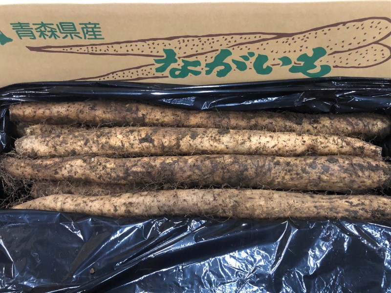 青森県産ながいも