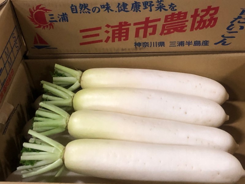 県外産のだいこん