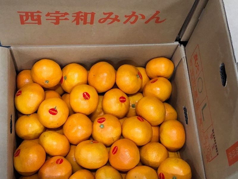 真穴（まあな）みかん