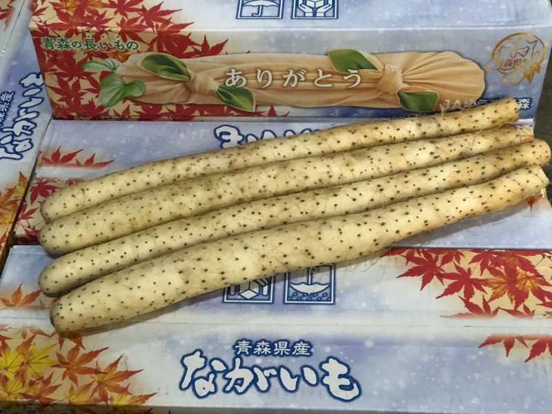 特産野菜ながいも