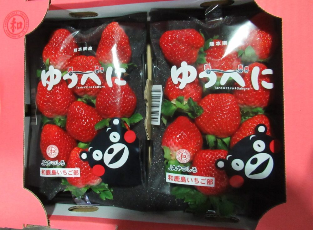 隈本県産いちご