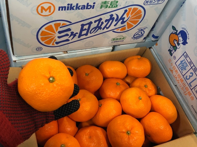 青島みかん