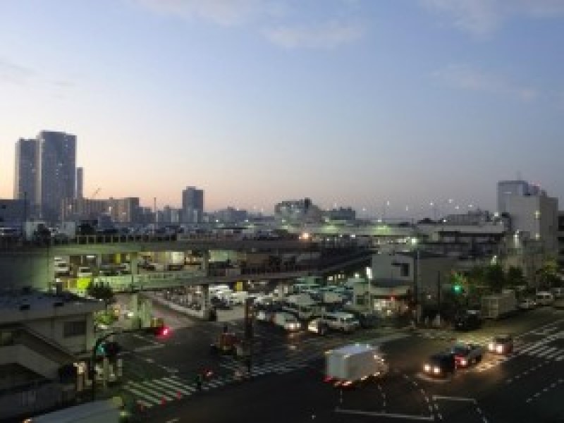 中プ卸売市場