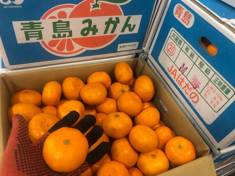 青島みかん
